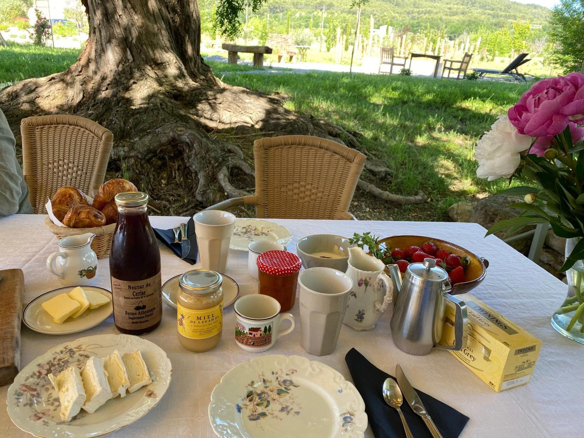 Bed and Breakfast Le Domaine Saint Jean Экстерьер фото